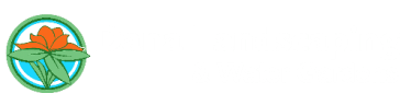 Dana Landscaping