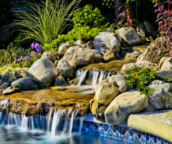 poolside gardens