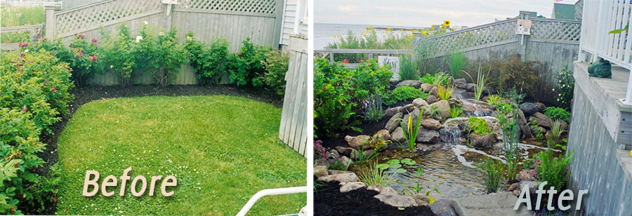 Water Gardens Before & After #4