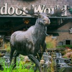 Bass Pro Shops One of Dana's Largest Commercial Projects