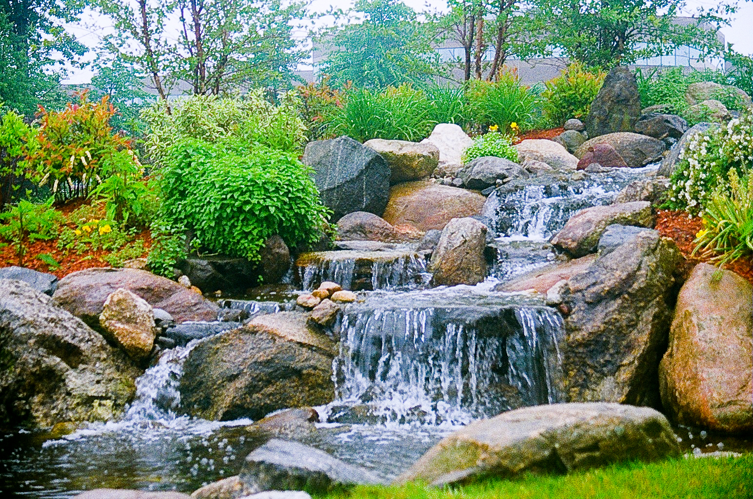 Water Garden Designs