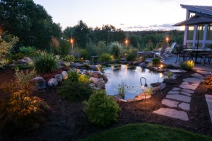 night time water garden with path